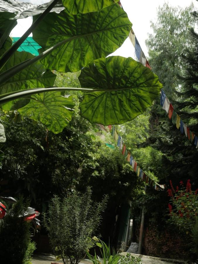 Nirvana Green Peace Home Катманду Экстерьер фото