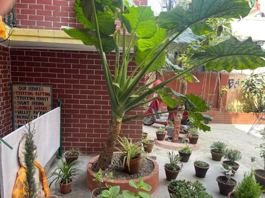 Nirvana Green Peace Home Катманду Экстерьер фото