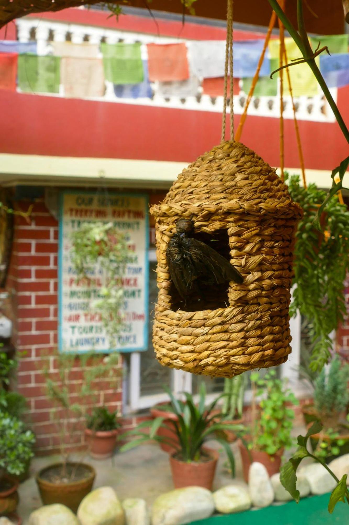 Nirvana Green Peace Home Катманду Экстерьер фото